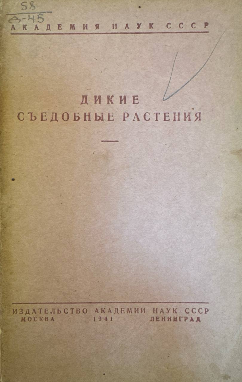 Дикие съедобные растения