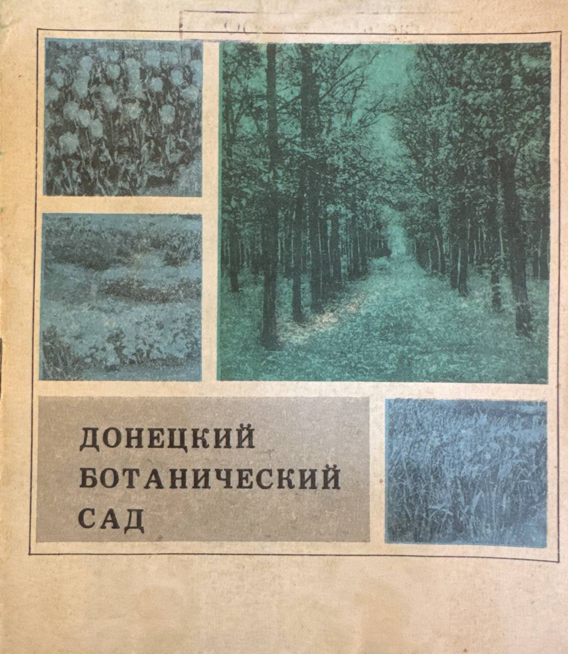 Донецкий ботанический сад