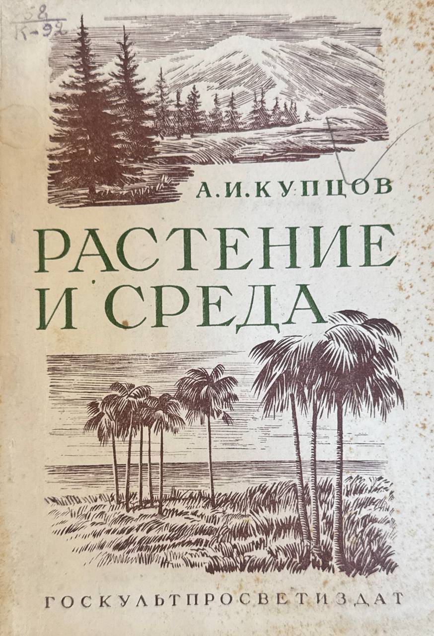 Растение и среда