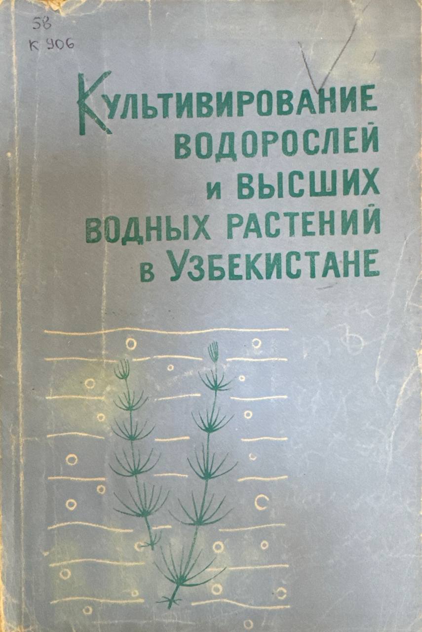 Культивирование водорослей и высших водных растений в Узбекистане