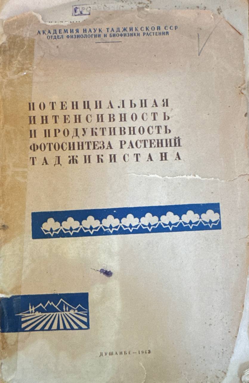 Потенциальная интенсивность и продуктивность фотосинтеза растений Таджикистана