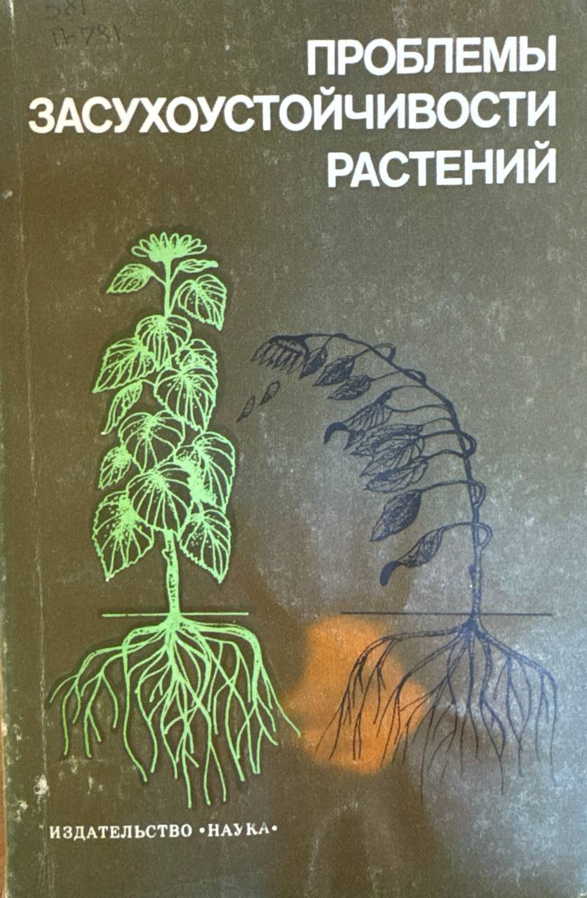 Проблемы засухоустойчивости растений