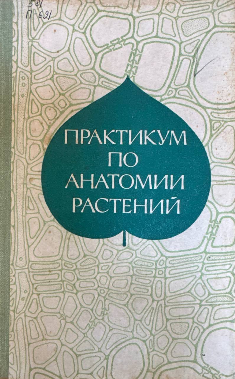 Практикум по анатомии растений