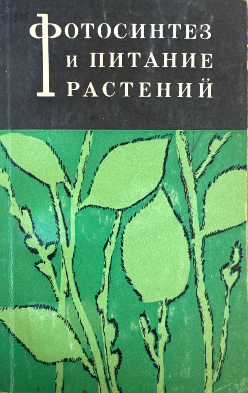 Фотосинтез и питание растений