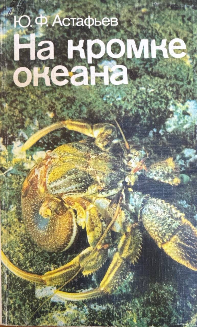 На кромке океана