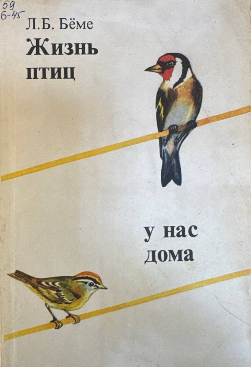 Жизнь птиц у нас дома