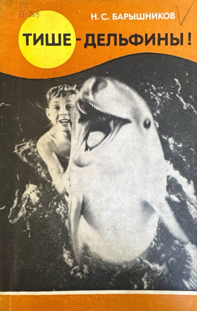 Тише-дельфины!