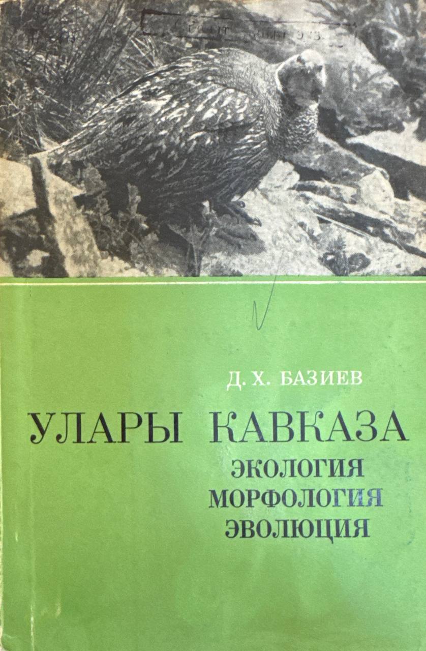 Улары Кавказа. Экология, морфология, эволюция