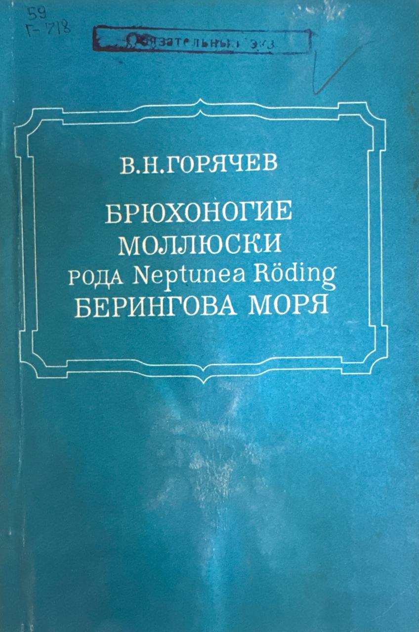 Брюхоногие Моллюские рода Neptunea Ro`ding  Берингова  моря