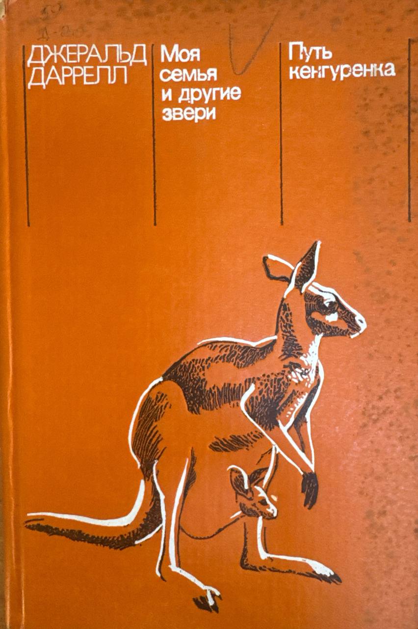 Моя семья и другие звери; Путь кенгуренка