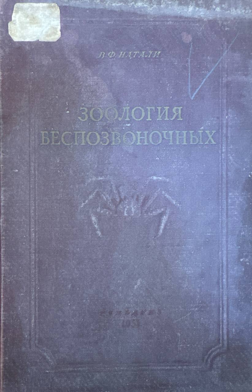 Зоология беспозвоночных