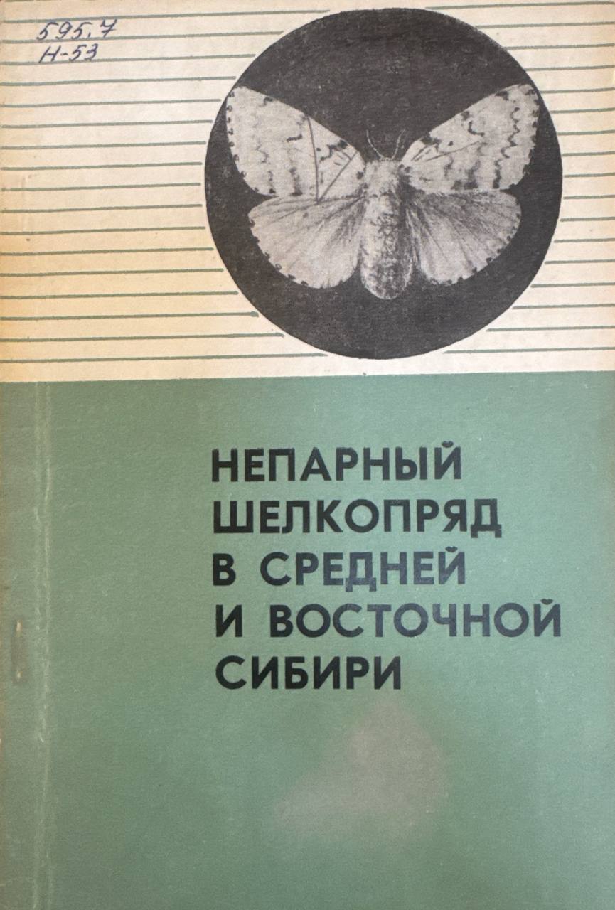 Непарный шелкопряд в Средней и Восточной Сибири