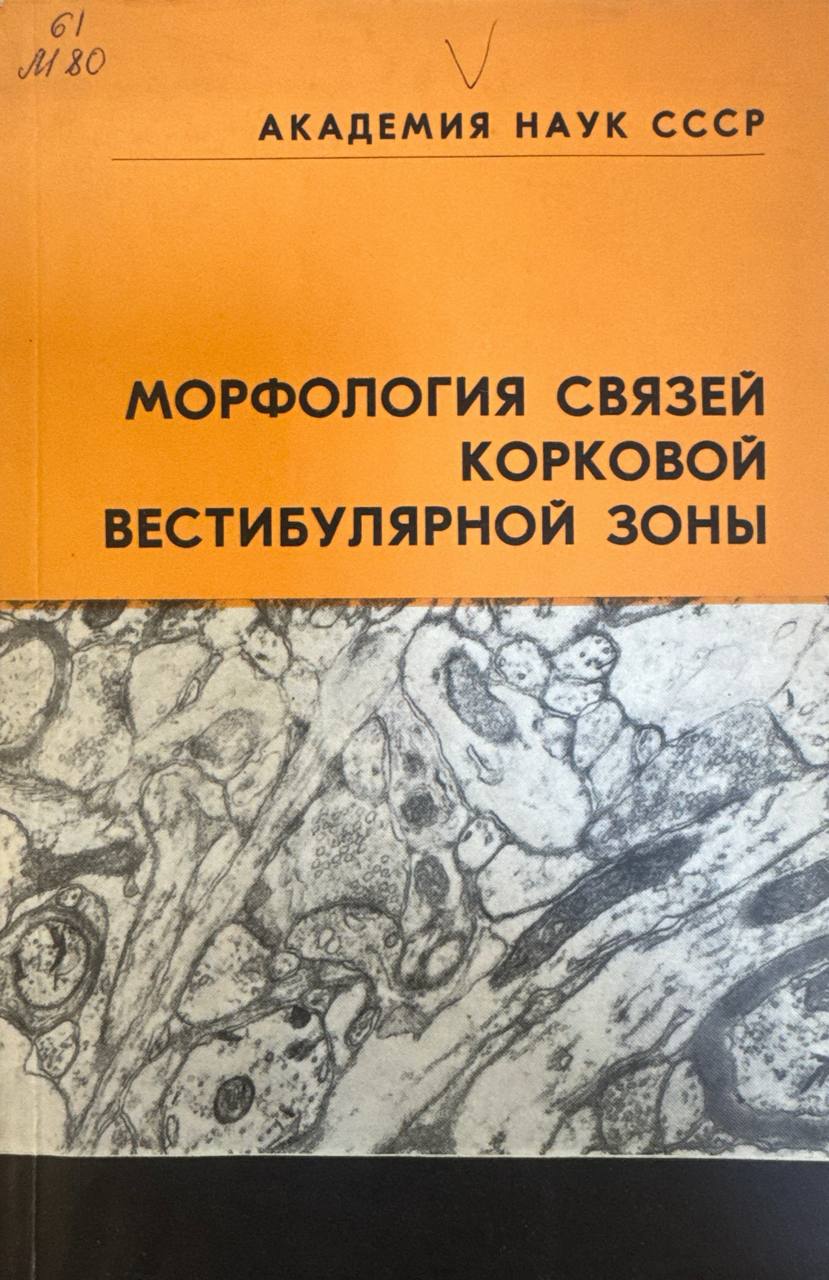 Морфология связей корковой вестибулярной зоны