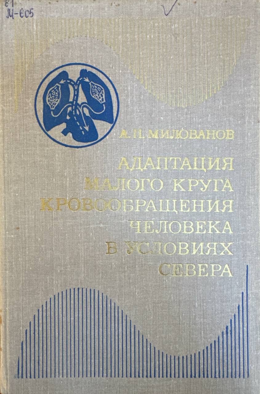 Адаптация малого круга кровообращения человека в условиях Севера