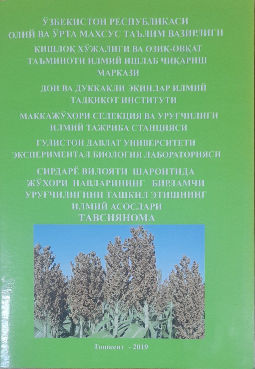 Сирдарё вилояти шароитида жўхори навларининг бирламчи уруғчилигини ташкил этишнинг илмий асослари