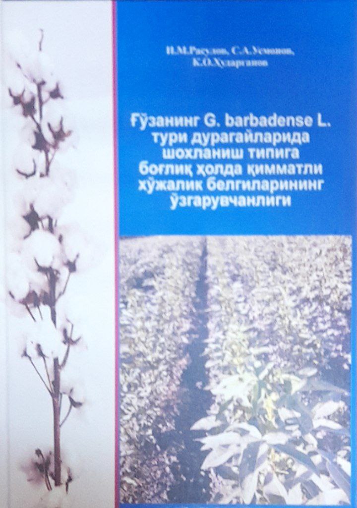 Ғўзанинг G. barbadense L.,тури дурагайларида, шохланиш типига боғлиқ ҳолда, қимматли хўжалик белгиларининг ўзгарувчанлиги