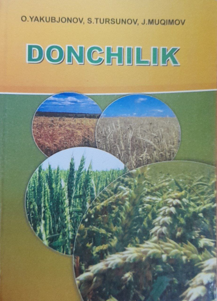 Donchilik