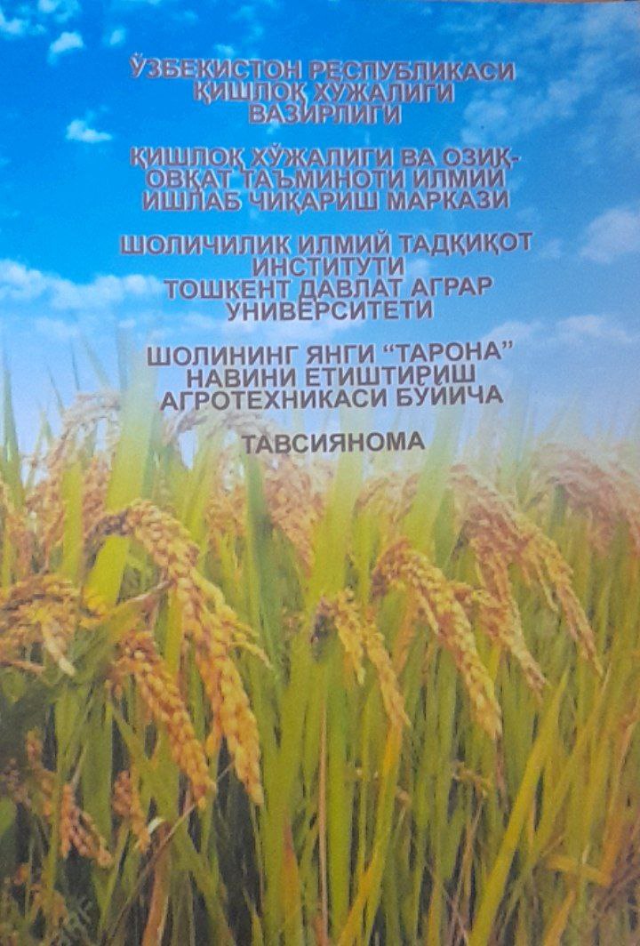 Шолининг янги Тарона навини етиштириш агротехникаси бўйича тавсиянома
