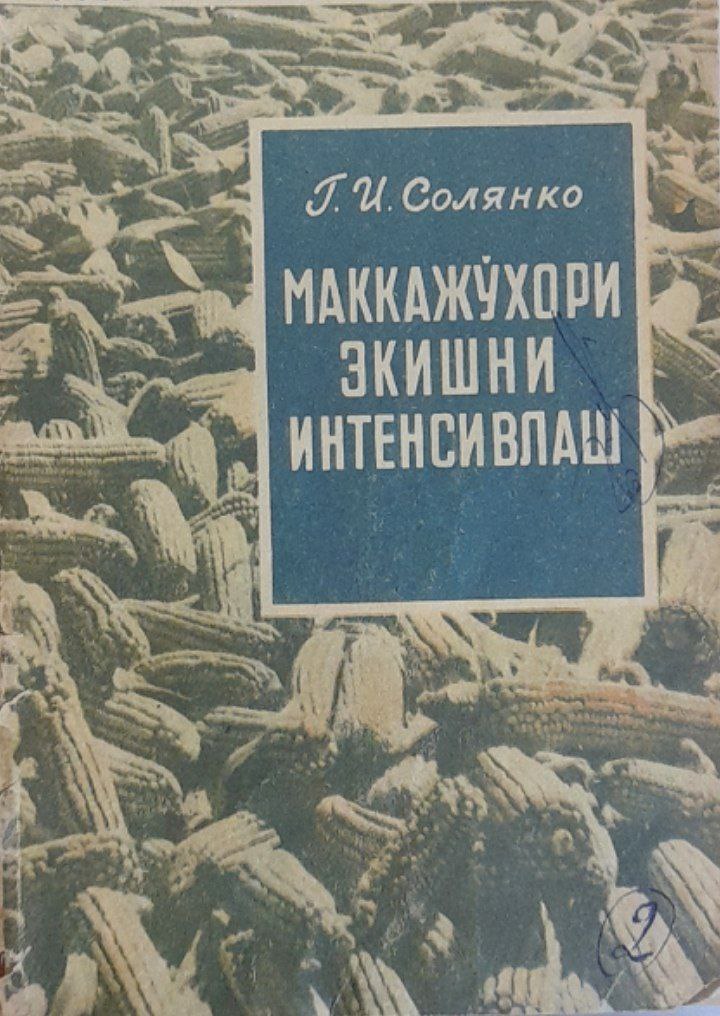 Маккажўхори экишни интенсивлаш