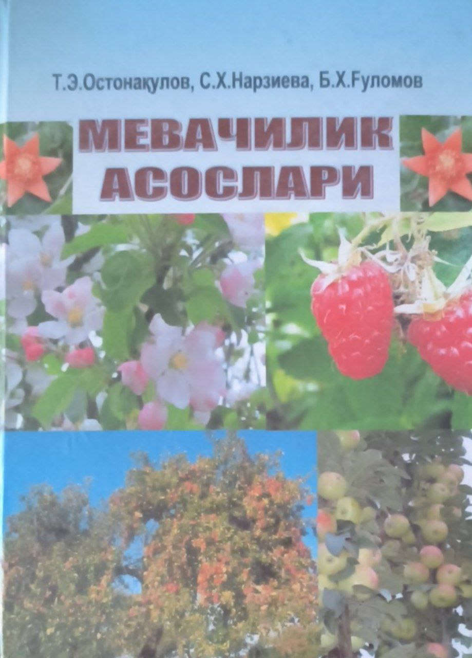 Мевачилик асослари