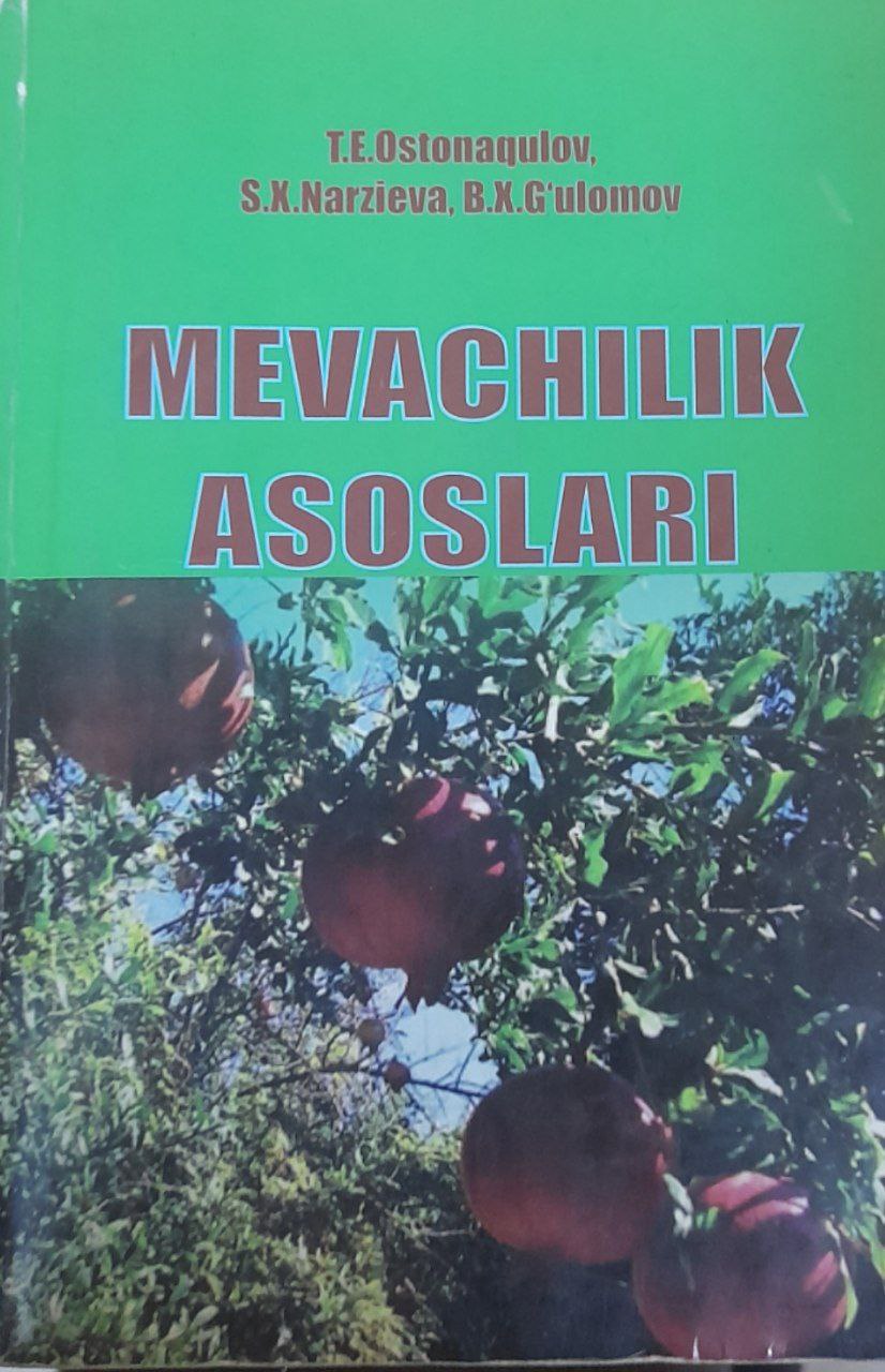 Mevachilik asoslari