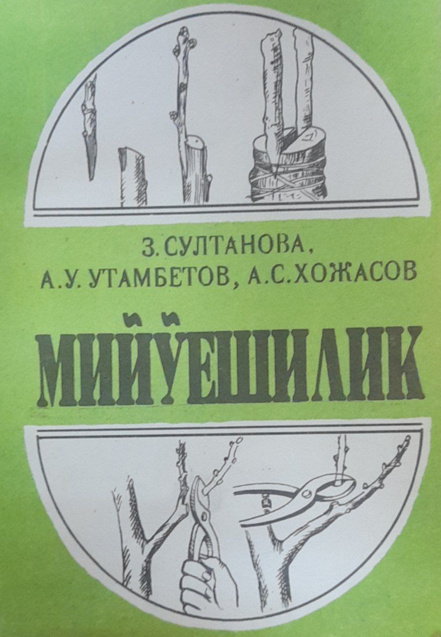 Мийўешилик