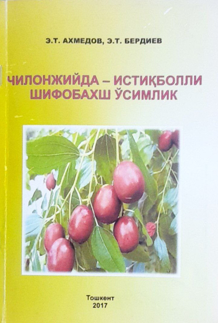 Чилонжийда - истиқболли шифобахш ўсимлик