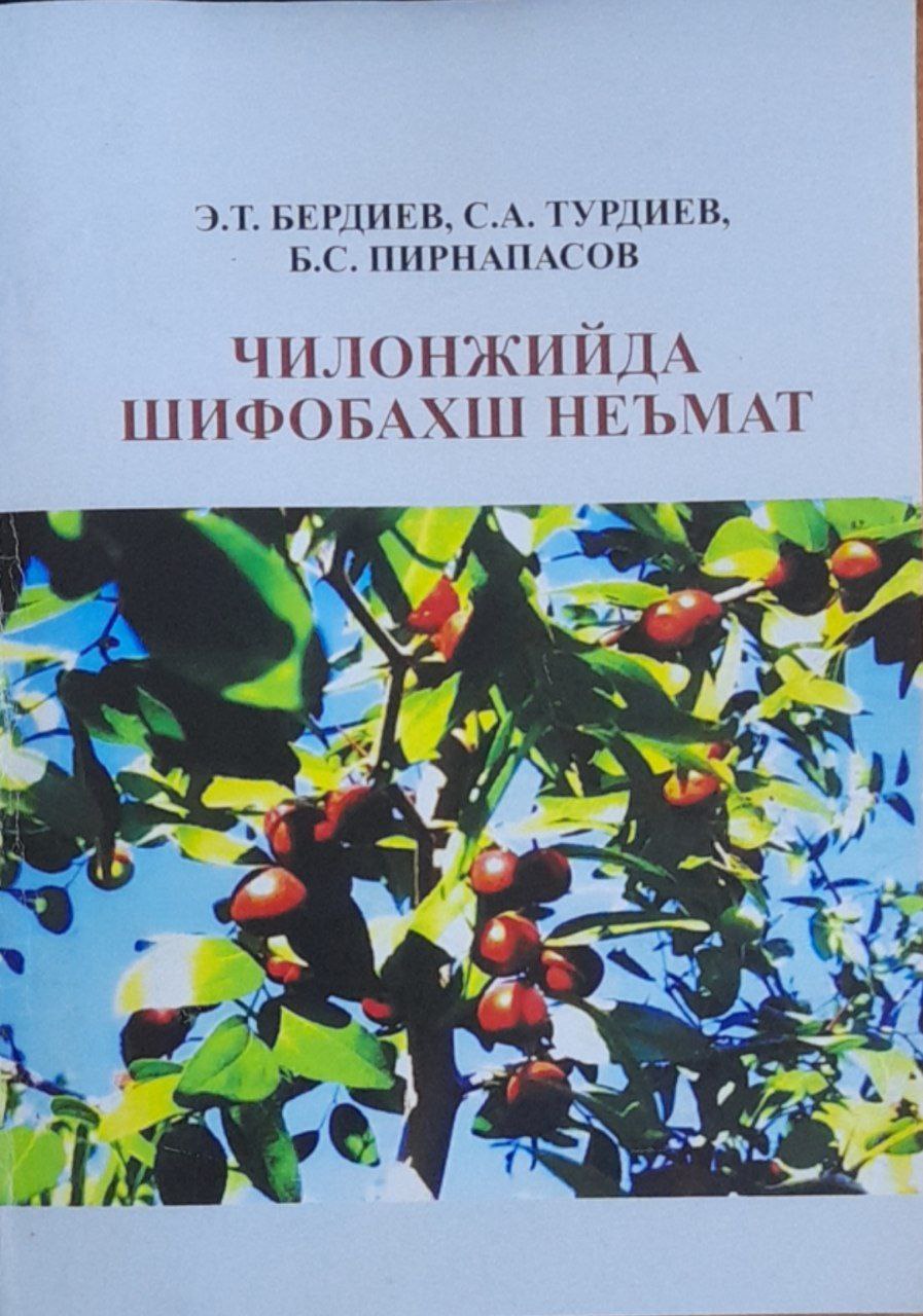 Чилонжийда шифобахш неъмат