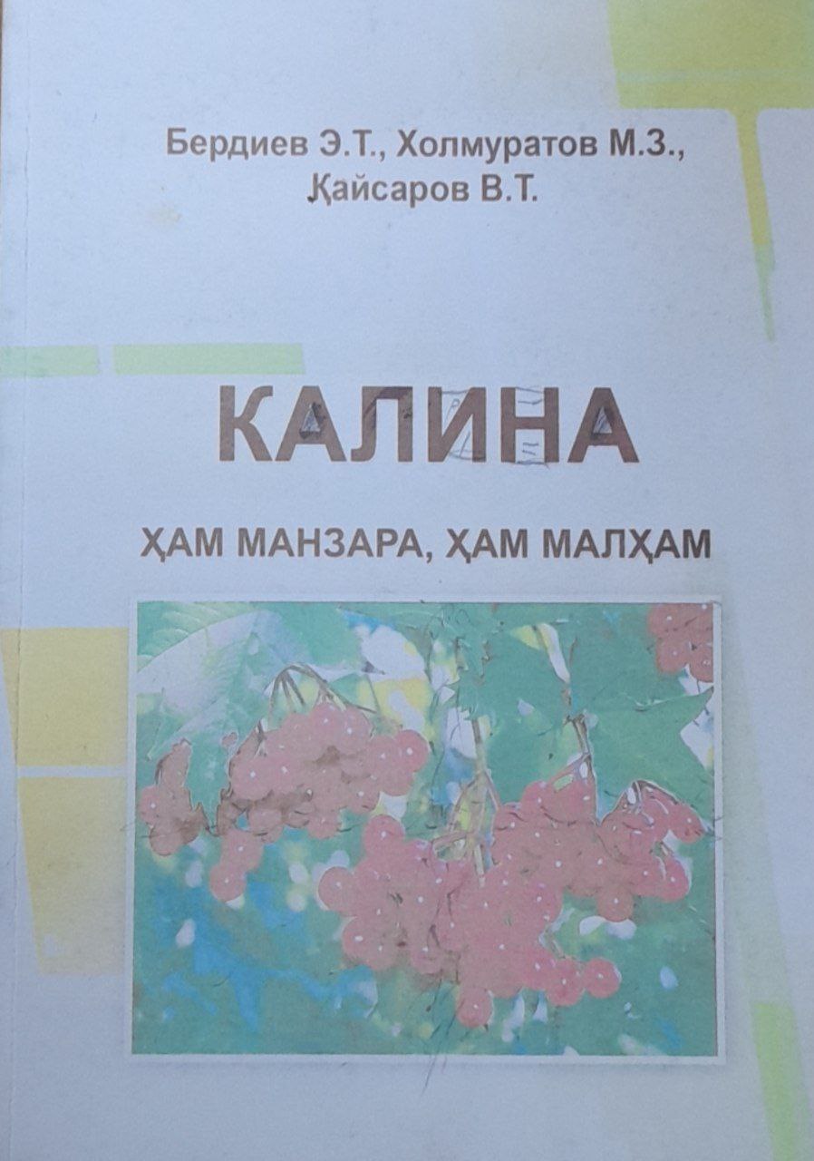 Калина ҳам манзара, ҳам малҳам