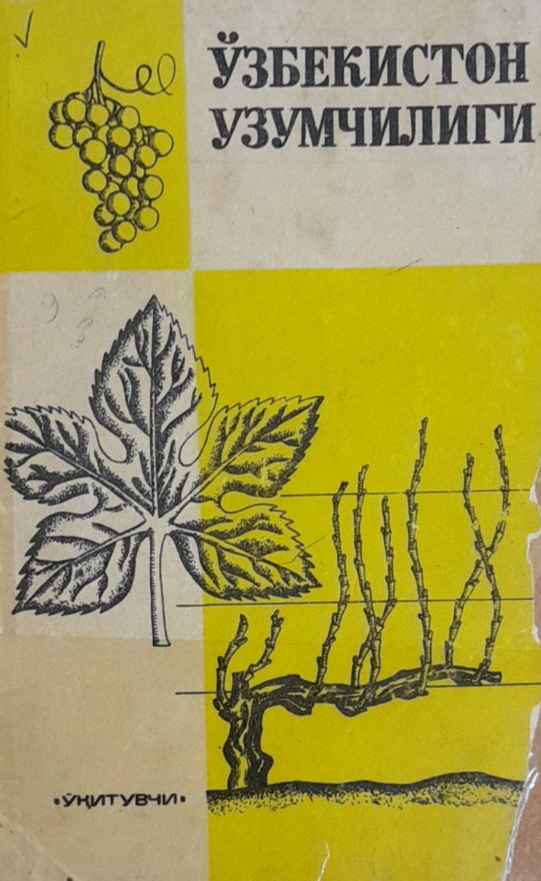 Ўзбекистон узумчилиги