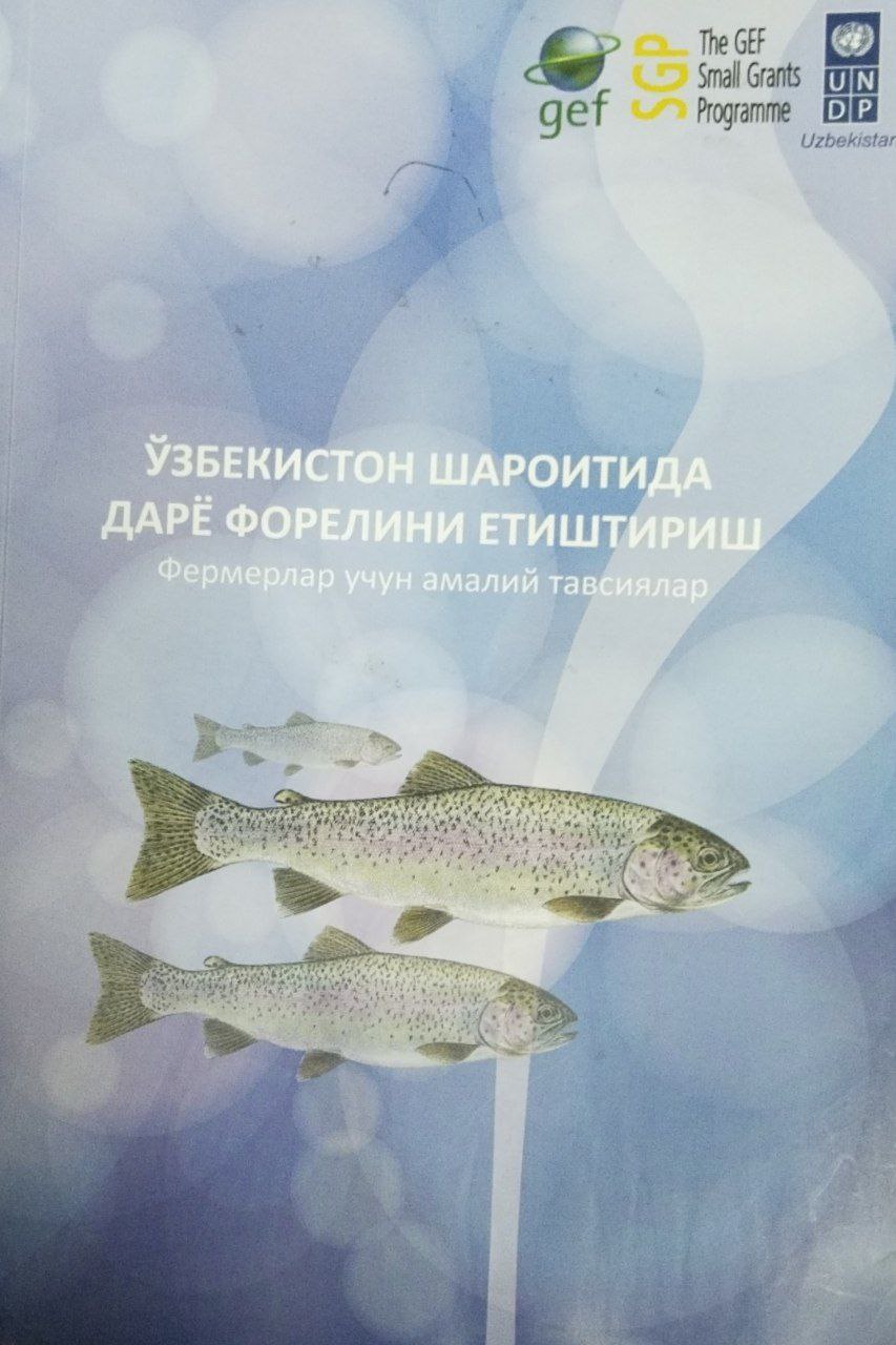 Ўзбекистон шароитида дарё форелини етиштириш