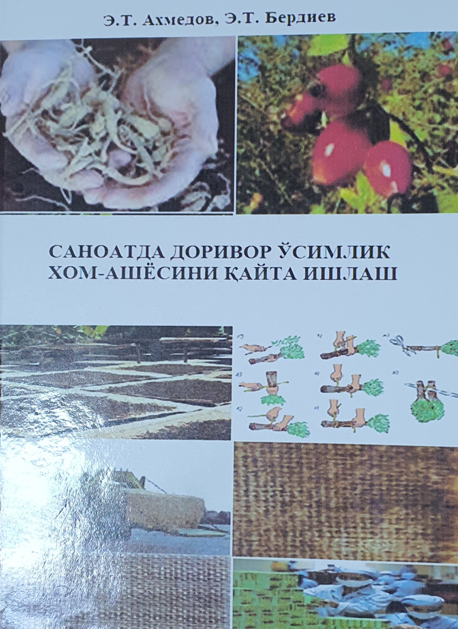 Саноатда доривор ўсимлик хом-ашёсини қайта ишлаш