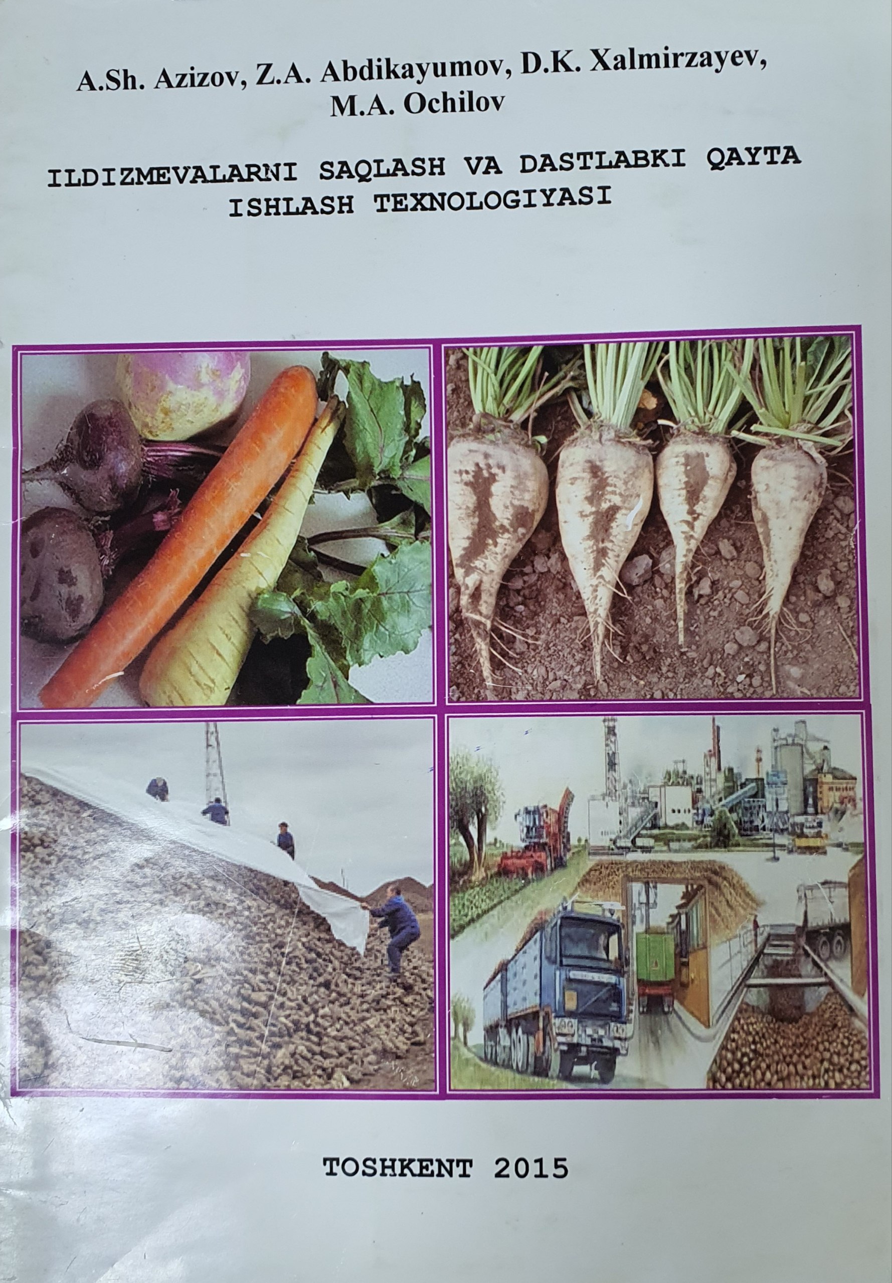 Ildizmevalarni saqlash va dastlabki qayta ishlash texnologiyasi