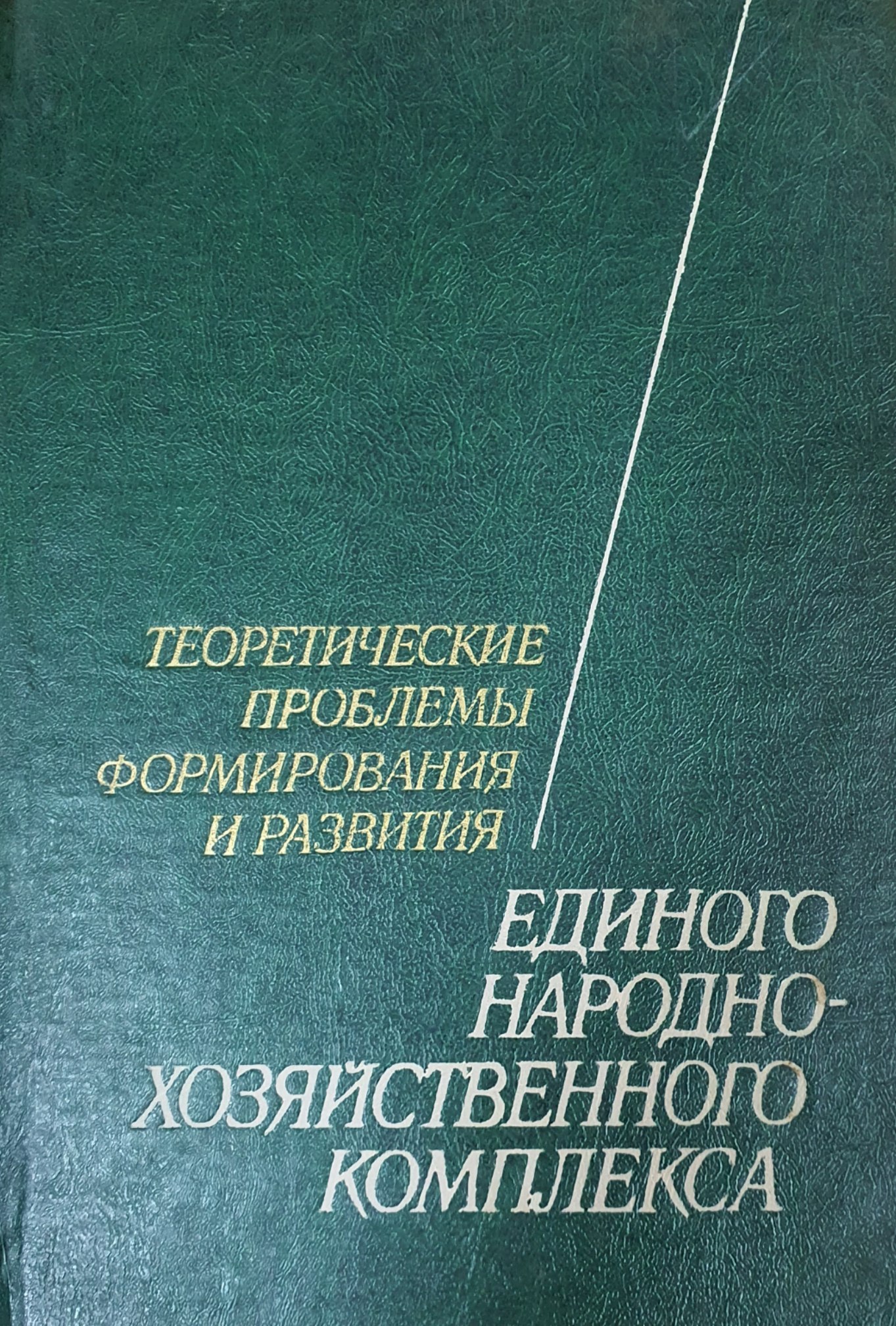 Теоретические проблемы формирования и развития единого народнохозяйственного комплекса