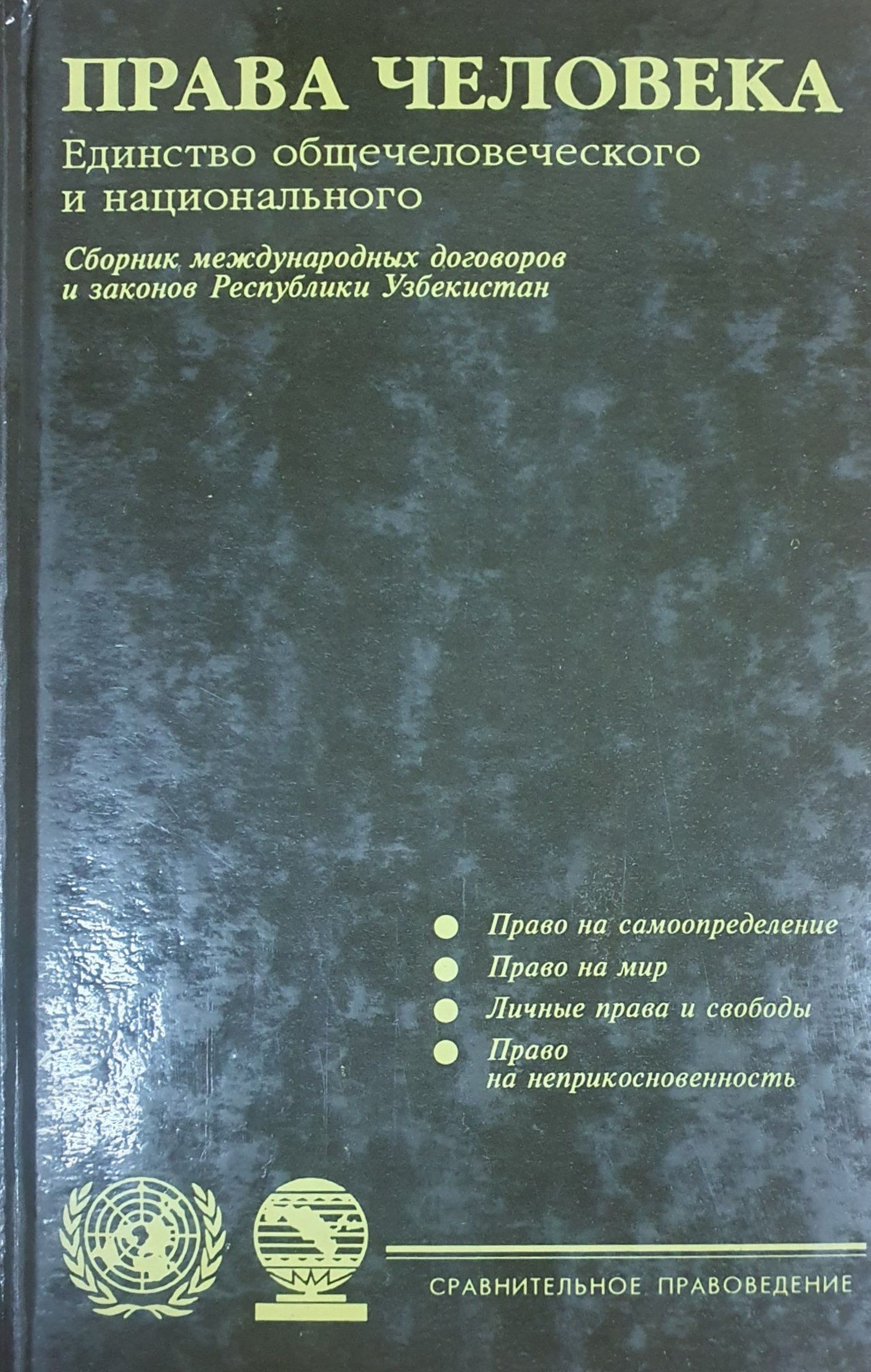 Права человека единство общечеловеческого и национального Том I