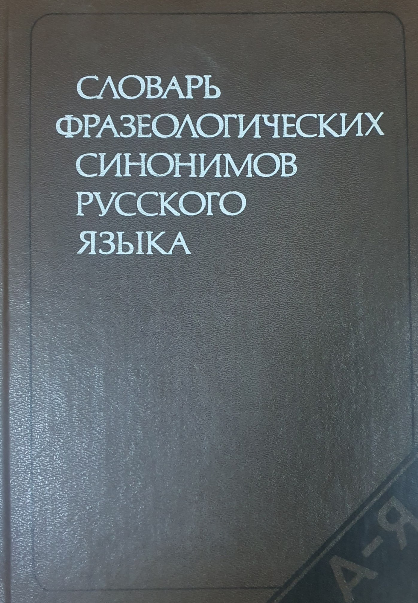 Словарь фразеологических синонимов русского языка