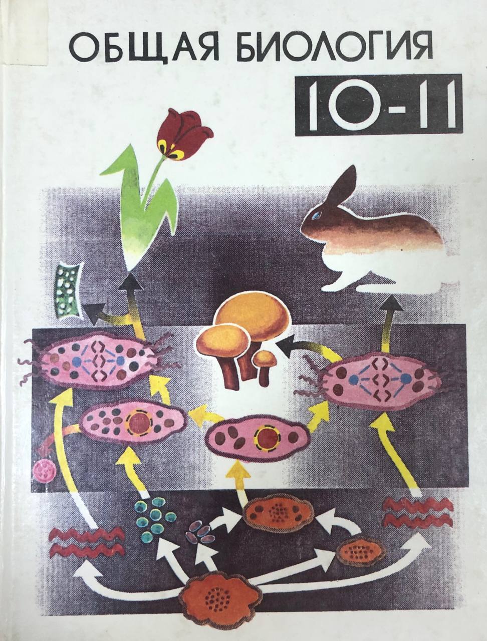 Общая биология: Учебник для 10-11 классов