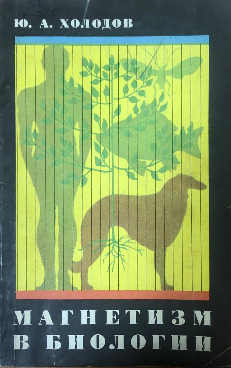 Магнетизм в биологии