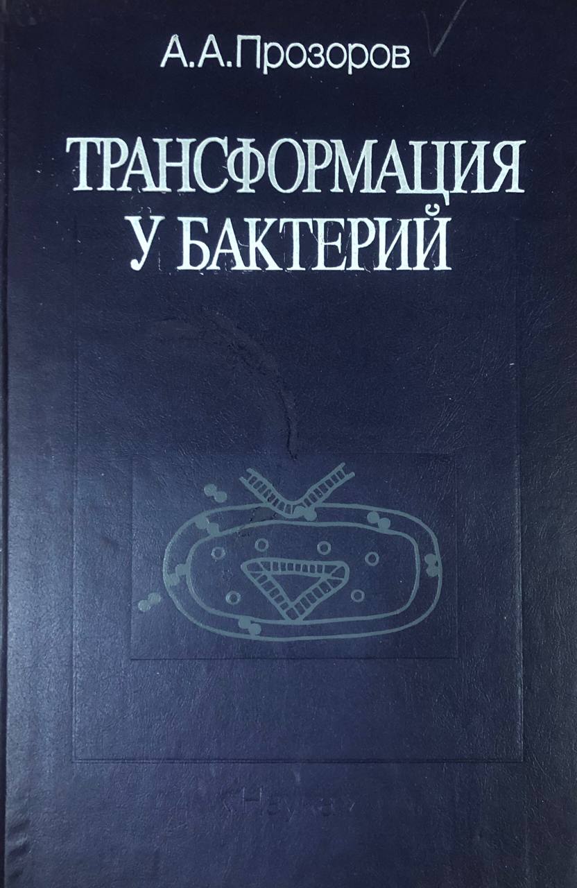Трансформация у бактерий