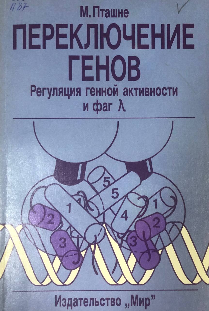 Переключение генов. Регуляция генной активности и фаг