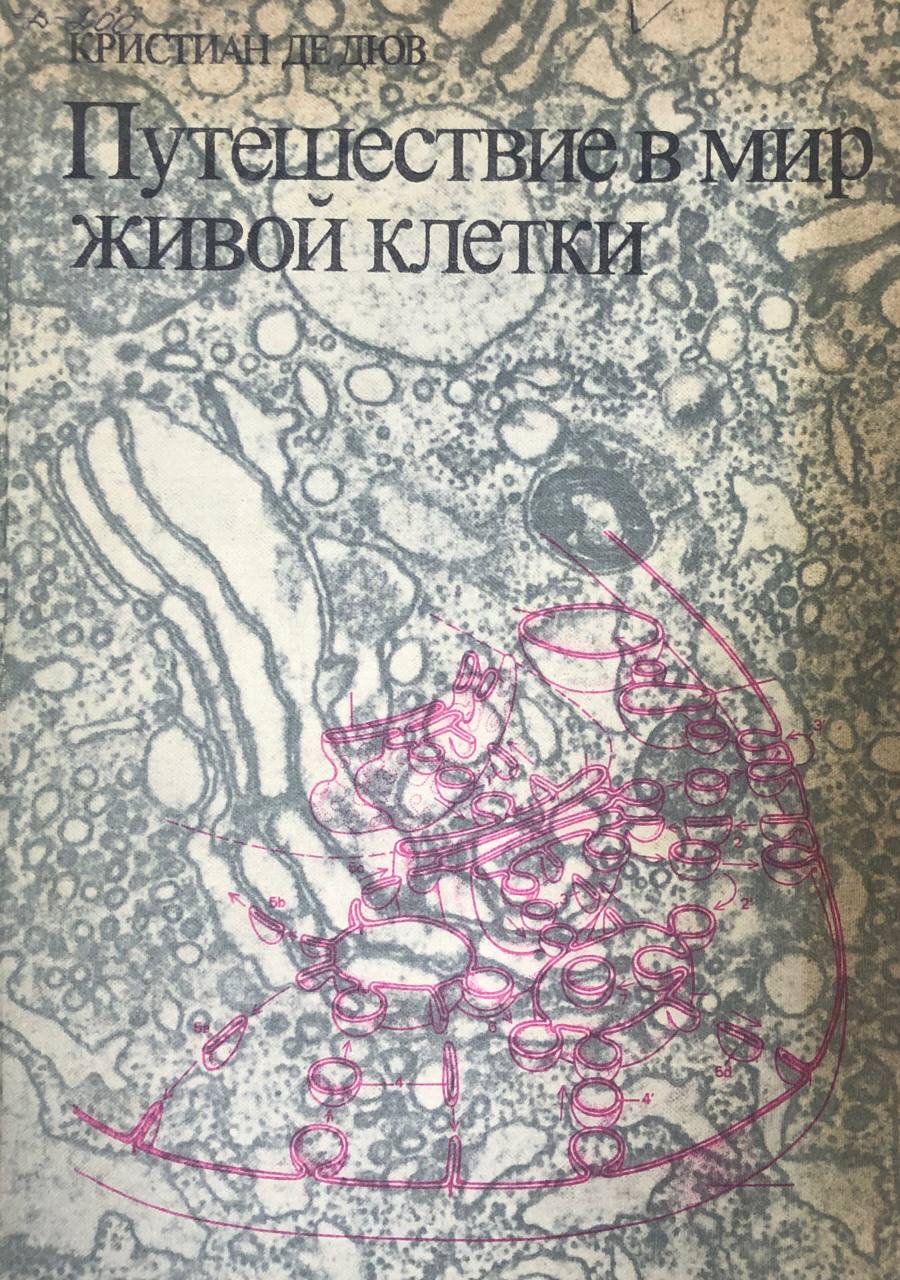 Путешествие в мир живой клетки