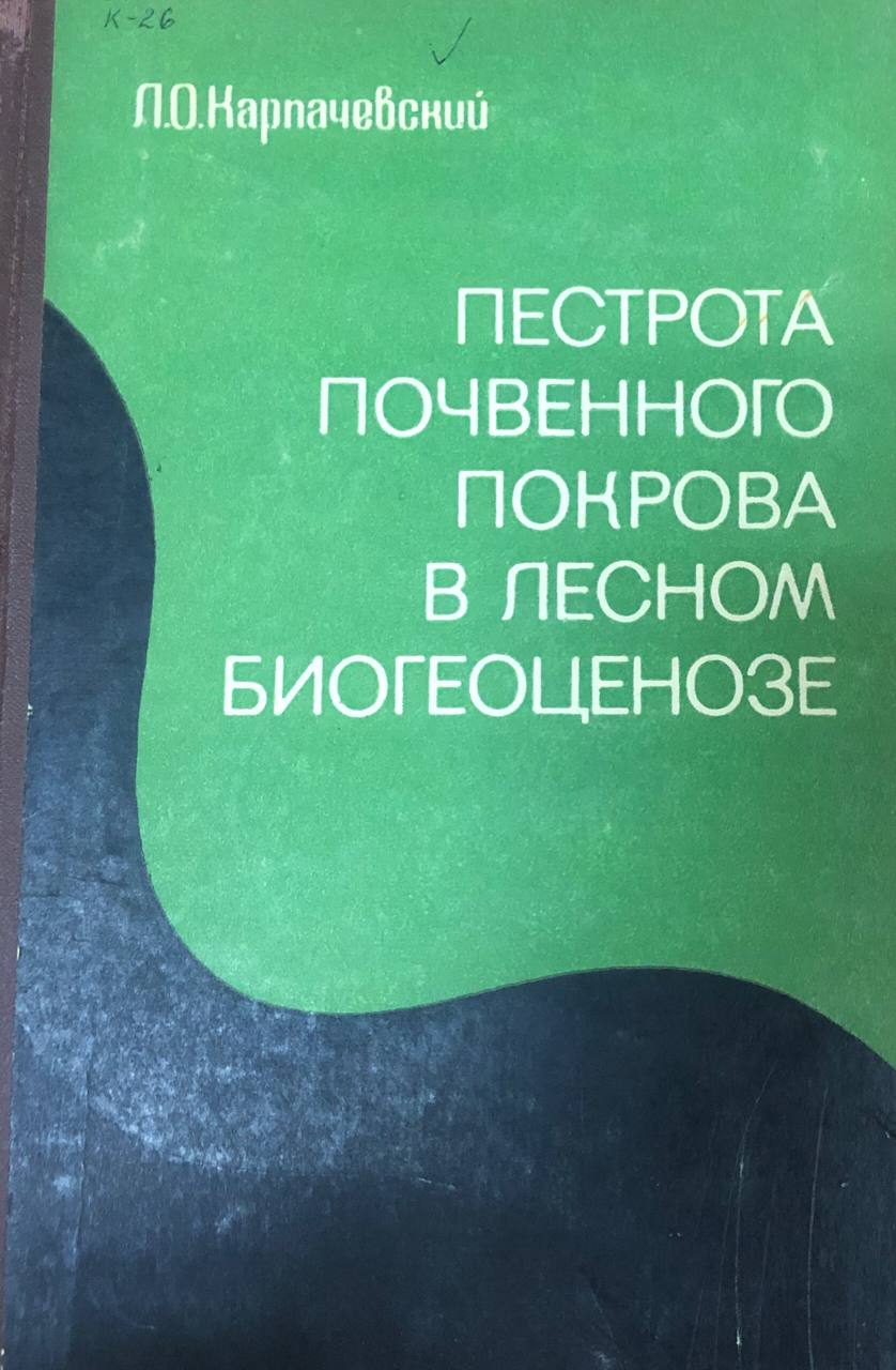 Пестрота почвенного покрова в лесном биогеоценозе