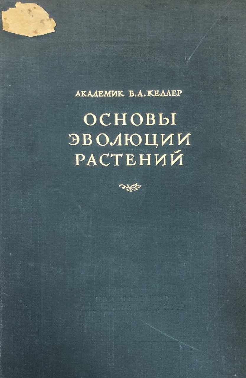 Основы эволюции растений