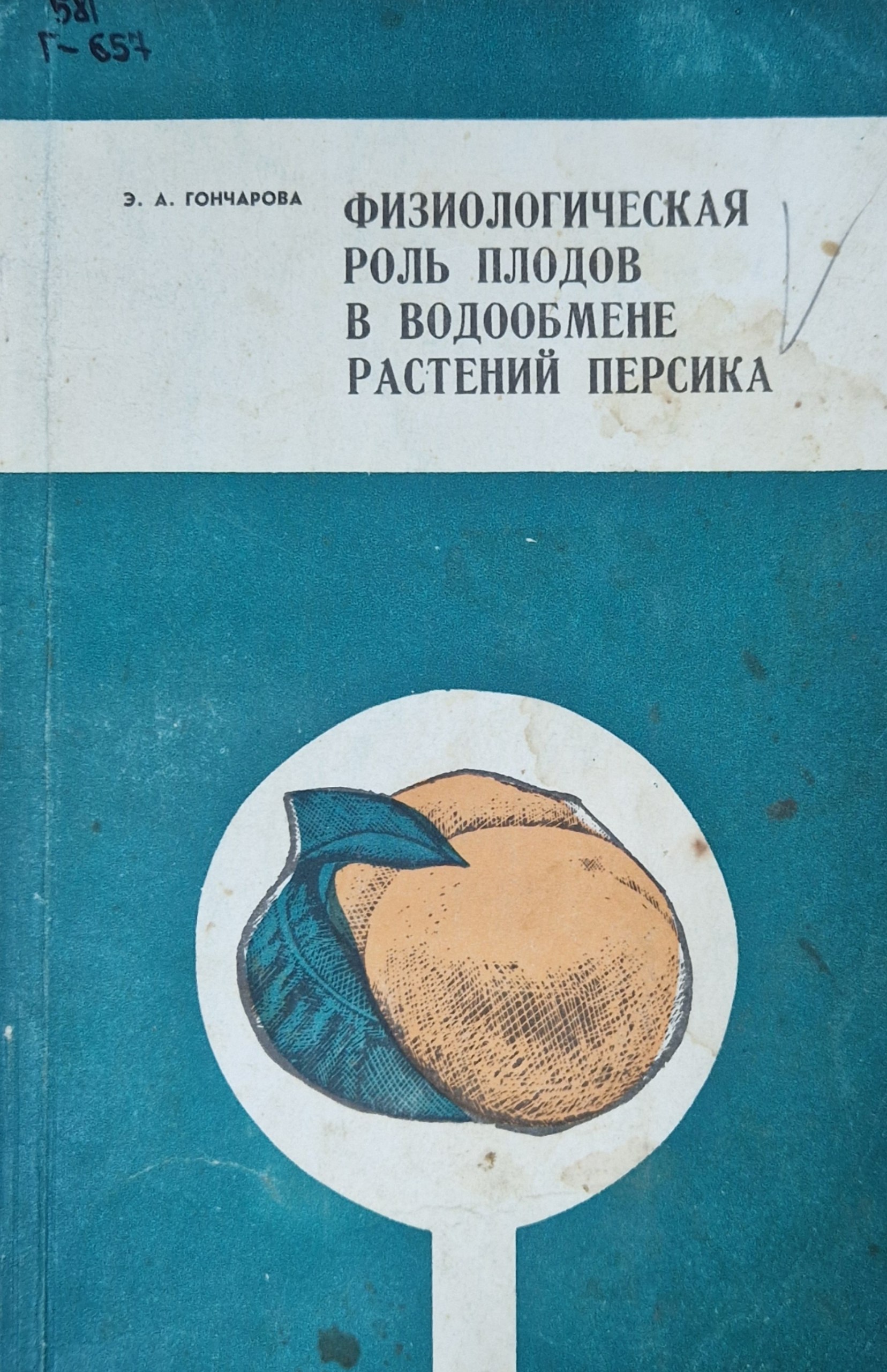 Физиологическая роль плодов в водообмене растений персика