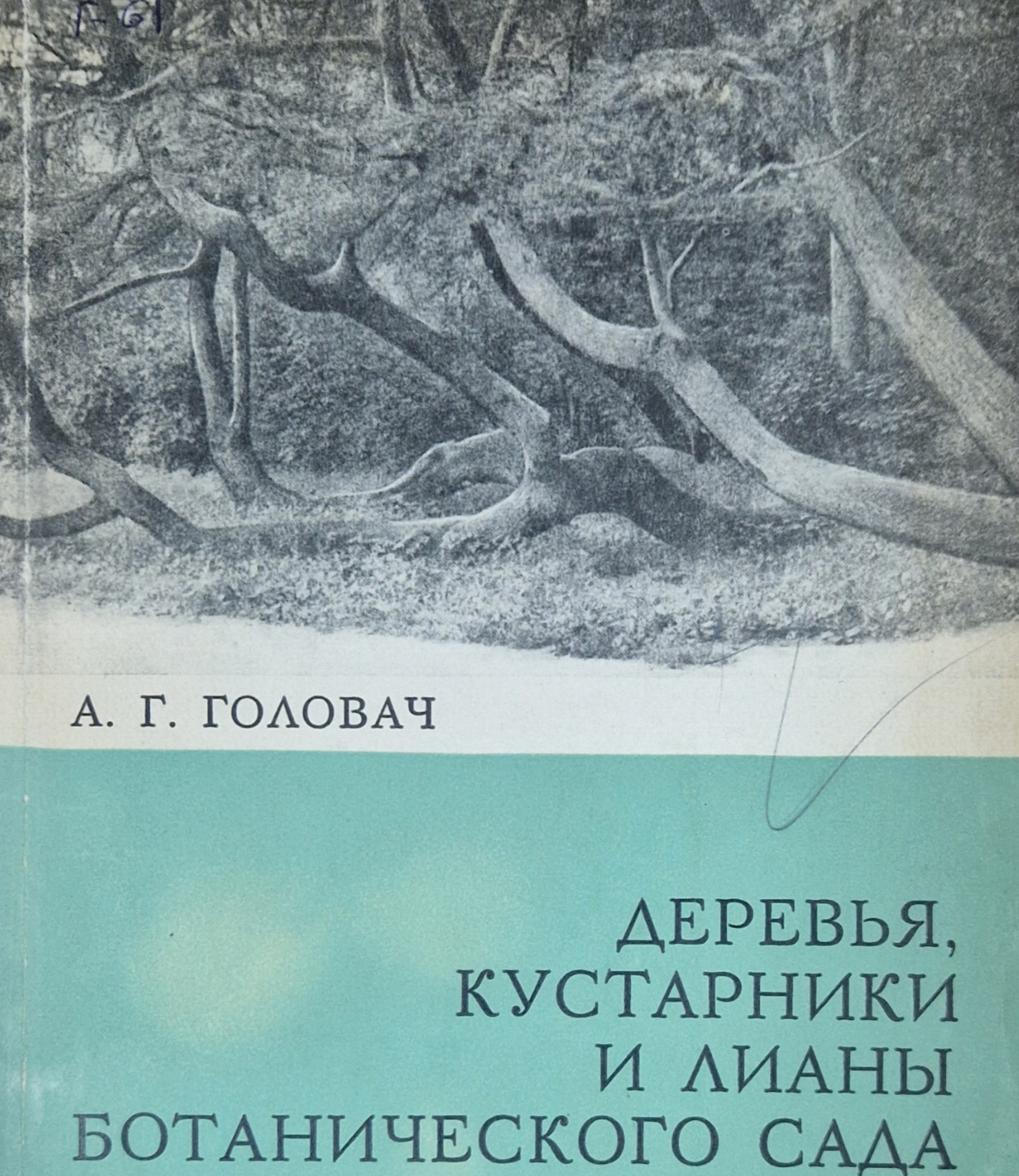 Деревья, кустарники и лианы ботанического сада