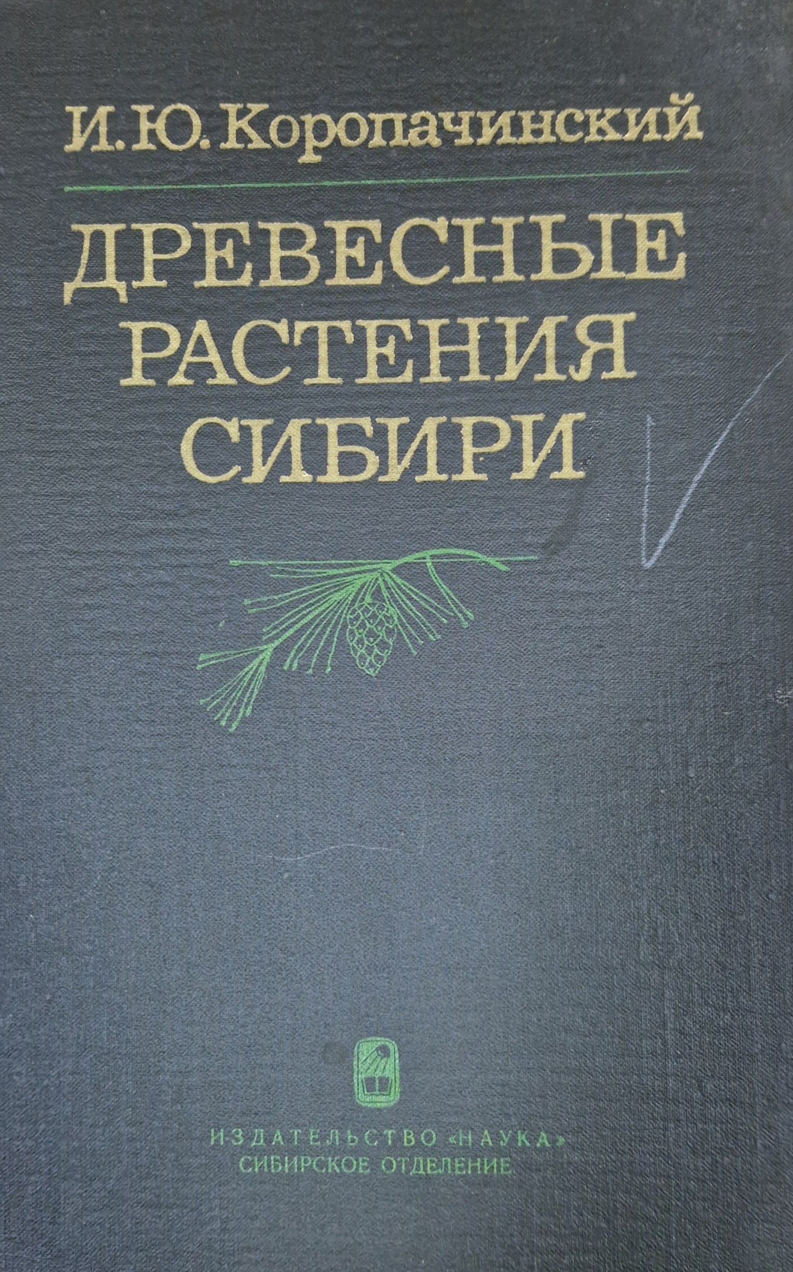 Древесные растения Сибири