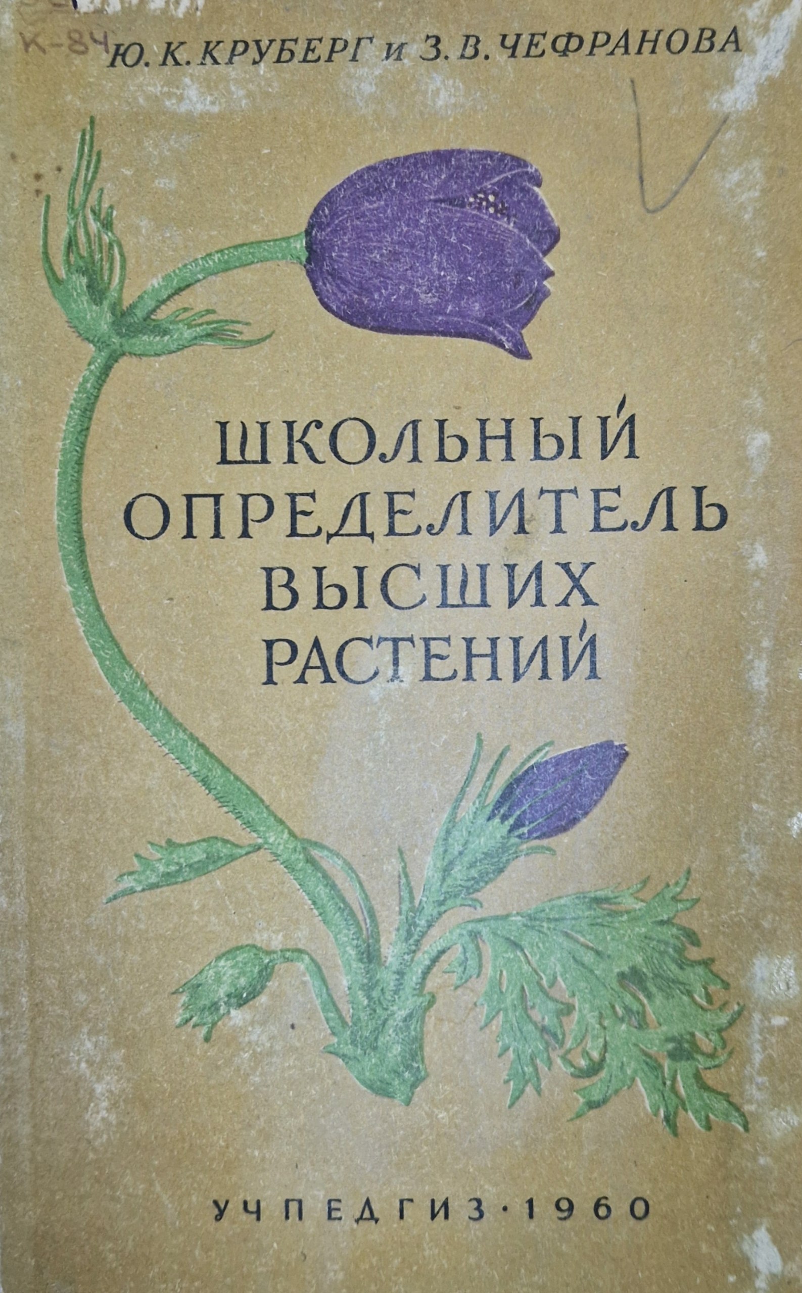 Иллюстрированный школьный определитель высших растений