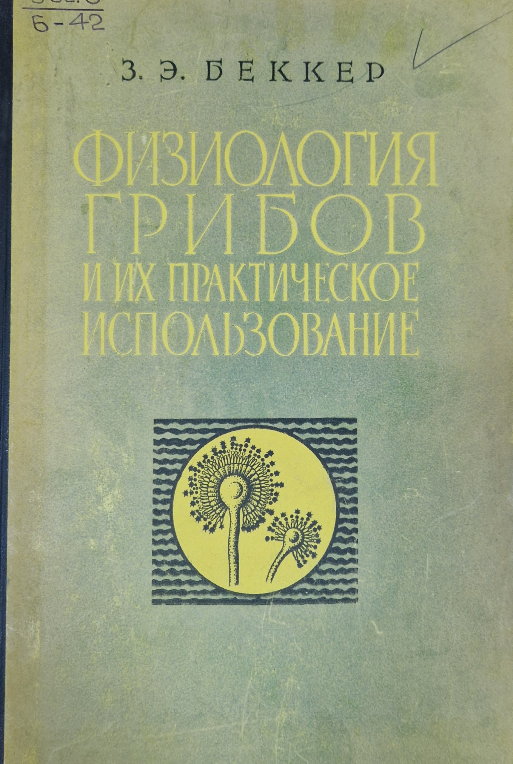 Физиология грибов и их практическое использование