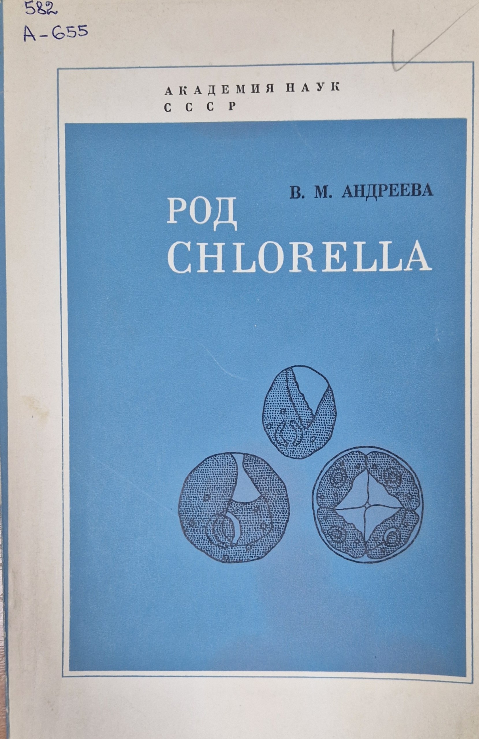 Род Chlorella