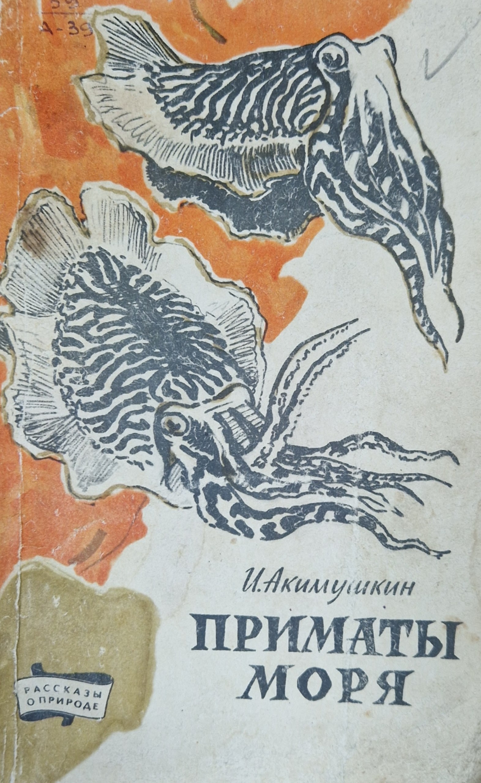 Приматы моря